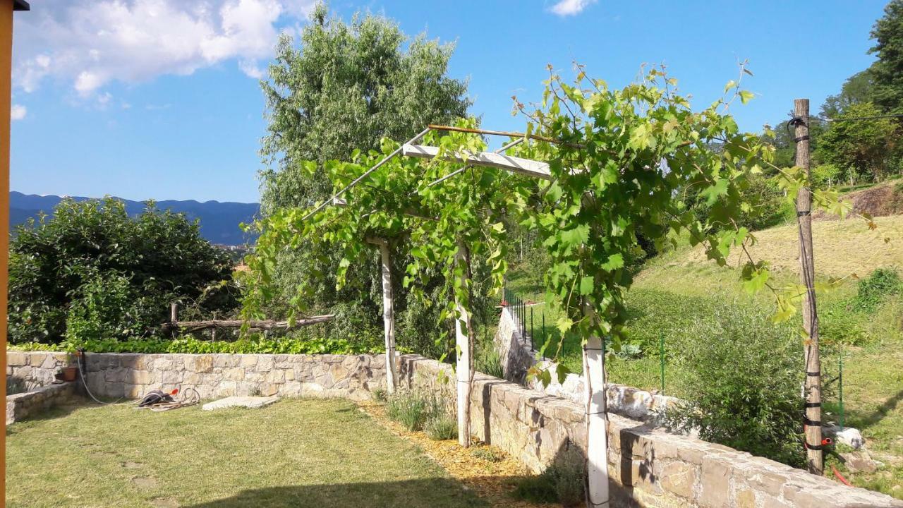 Hostal Pocitniska Hisa Dobravlje Exterior foto